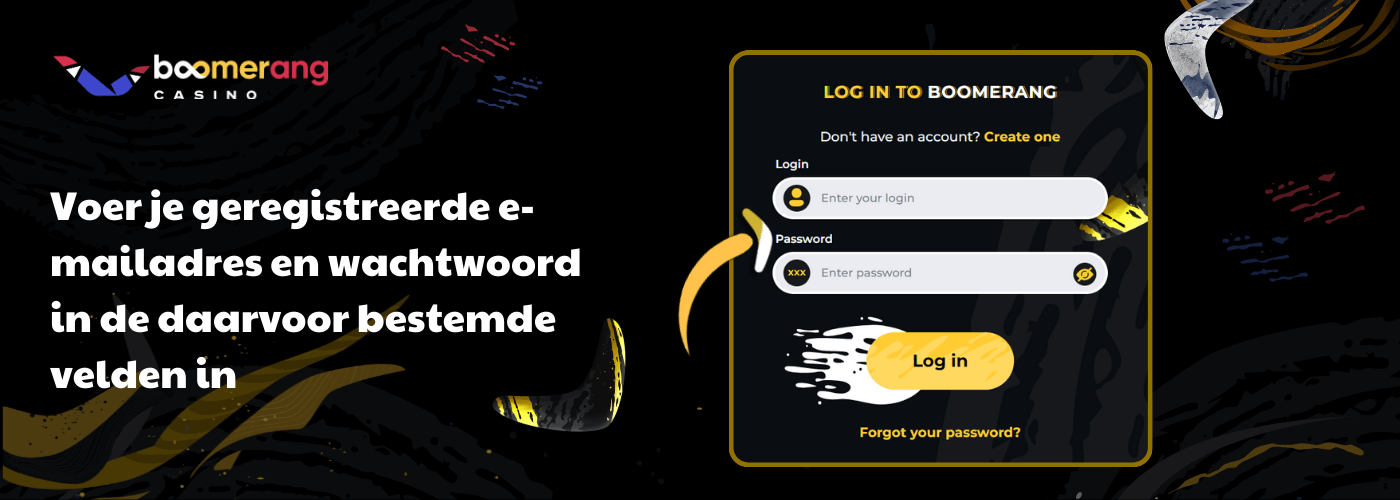 Voer je geregistreerde e-mailadres en wachtwoord in de daarvoor bestemde velden in